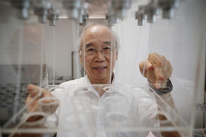 Professor Neal Chung from the National University of Singapore with the membranes being developed to separate carbon dioxide from the emissions of power plants. Research into carbon capture systems is gaining traction worldwide as nations seek to low