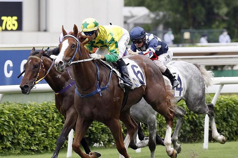 Sky Field (No. 6) is a supreme talent looking for his fourth consecutive win. It looks like he will relish the 1,400m trip in today's final race at Sha Tin.