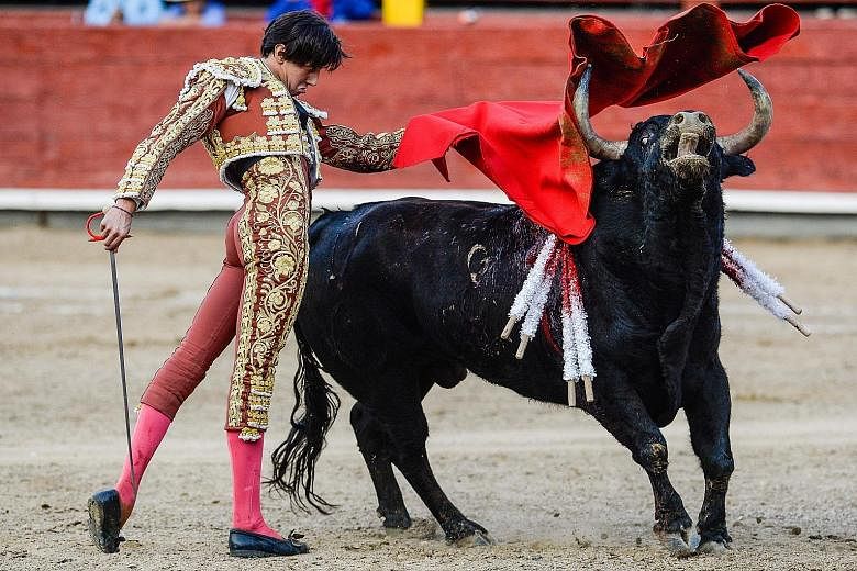 Bullfighter Andres Roca Rey performing during the Senor de los Milagros festival at the Acho bullring in Lima, Peru, in 2016. The annual festival, which usually takes place in October or November, was cancelled this year due to Covid-19 restrictions.