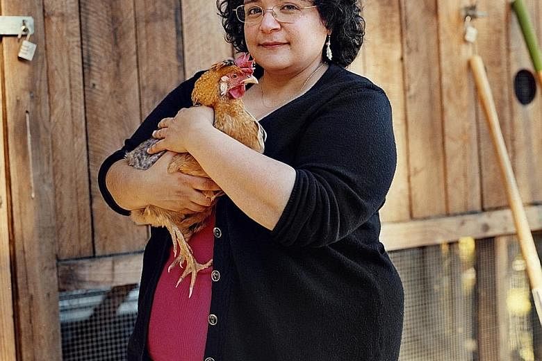 Peruvian-Lithuanian composer Gabriela Lena Frank in her farm in Mendocino County, California. Her heritage suffuses her music, and her academy, the Gabriela Lena Frank Creative Academy of Music, focuses on training new voices.