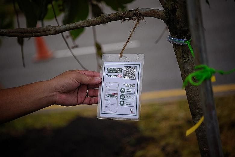 A QR code attached to a tree at a tree-planting exercise on Jurong Island yesterday. When such codes are scanned, people will be able to see more information about the tree on their mobile phones. People taking part in a tree-planting exercise on Jur