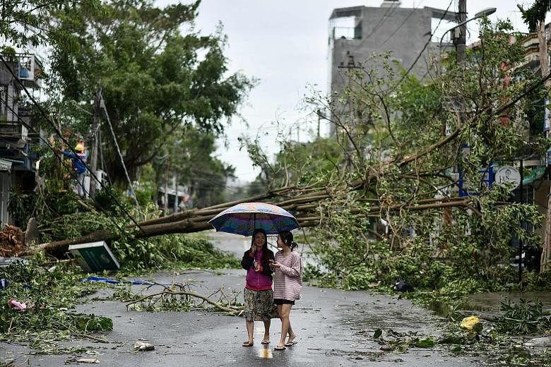 Women walking past uprooted trees in central Vietnam's Quang Ngai province yesterday, in the aftermath of Typhoon Molave. PHOTO: AGENCE FRANCE-PRESSE