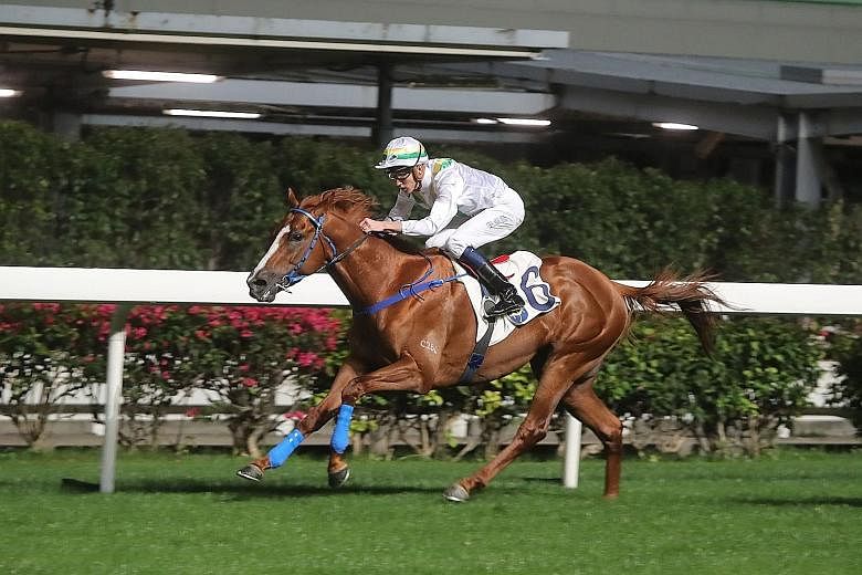Shadow Breaker has led and won over tomorrow's course and distance. There is every likelihood he will try to do the same from a good draw in Race 2 at Happy Valley.