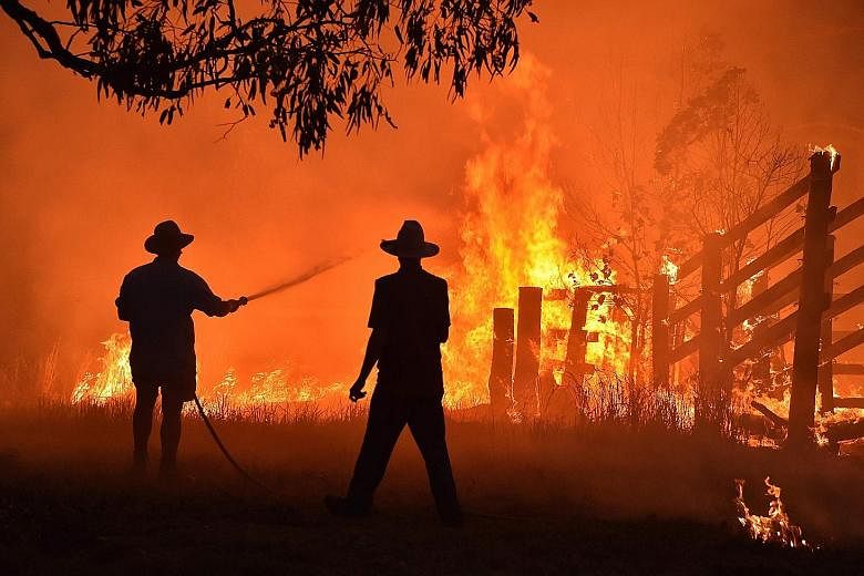 An inquiry into Australia's bush fire crisis (above) late last year and early this year warns that climate-worsened disasters will become more frequent, more costly and more severe.