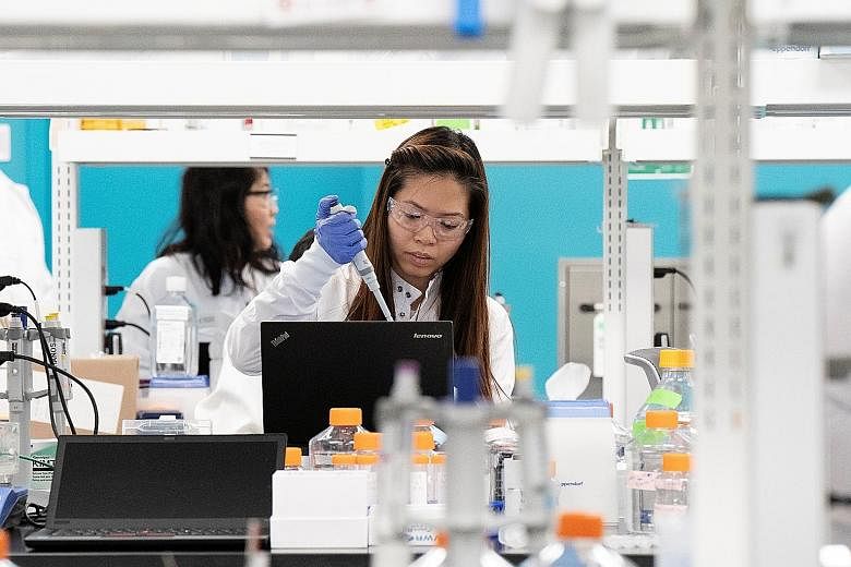 Researchers at an Arcturus Therapeutics laboratory in San Diego, California. The American pharmaceutical firm is working with Duke-NUS Medical School in Singapore on a potential Covid-19 vaccine. Preliminary findings for the vaccine, dubbed Lunar-Cov