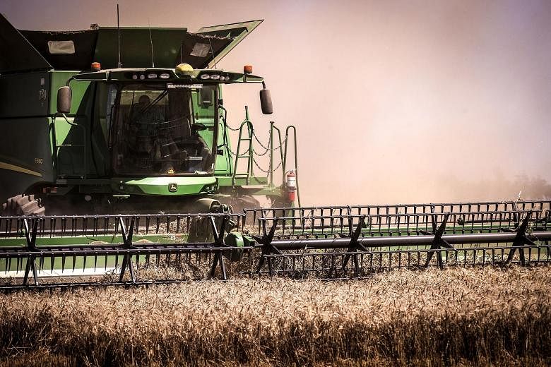 A wheat farm in the Australian state of New South Wales. Some Australian businesses have said that they have been struggling recently to export their products to China or clear Chinese Customs. PHOTO: BLOOMBERG