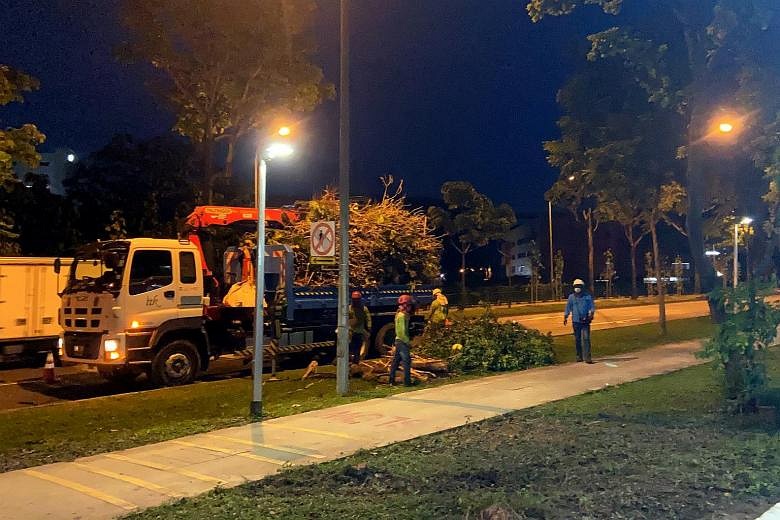 Lorry Driver Arrested After Colliding Into Trees In Front Of HDB Block ...