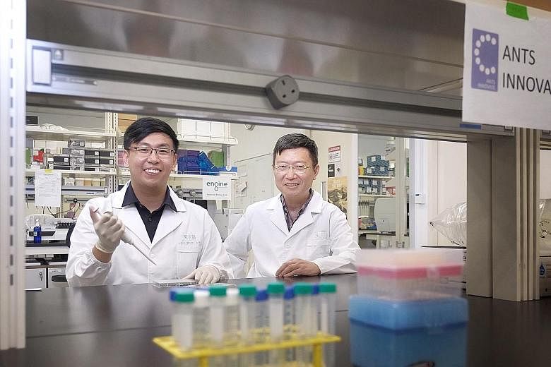 Above: Founders of Ants Innovate Ong Shujian (left) and Hanry Yu in their lab in Biopolis. The company specialises in cell-based meat. Left: Mr Ho Lip Teng, a business development manager at a waste management equipment provider, sees opportunities i