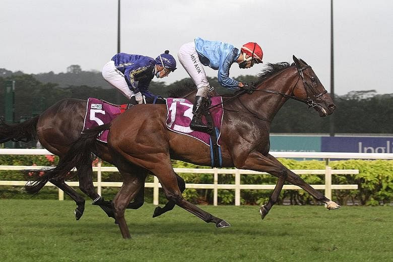 Big Hearted powering past Minister en route to winning the Group 1, 2,000m Singapore Gold Cup yesterday. His stablemate Top Knight finished third in the $1 million race.