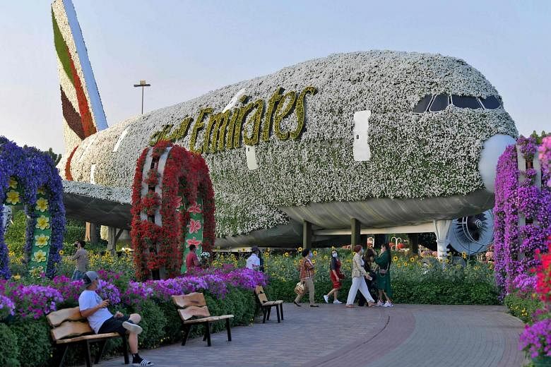 FLOWER POWER: Floral structures - such as of (above, from left) an Emirates Airlines Airbus A380, a castle and cartoon characters - are among the star displays at the Dubai Miracle Garden. There is even a flower tunnel (below) for that Instagram shot