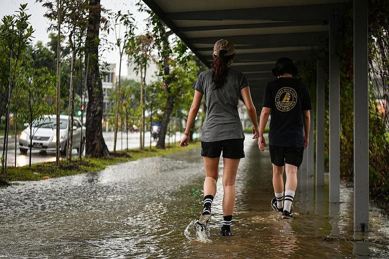Ponding of rainwater at a sheltered walkway in Tampines Central 3 last Sunday. Meteorological Service Singapore figures showed that between Nov 1 and last Tuesday, Singapore had about 290.5mm of rainfall - higher than the long-term average for Novemb