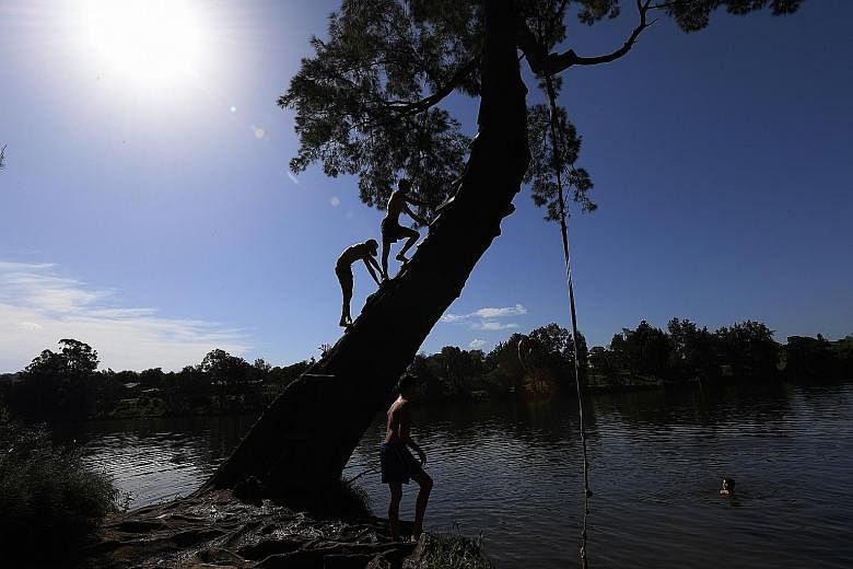 People swimming in the Nepean River at Penrith in Sydney, Australia, yesterday. An intense heatwave returned to Australia's south and east on the first day of the southern hemisphere summer yesterday, raising risks of bush fires as the Bureau of Mete