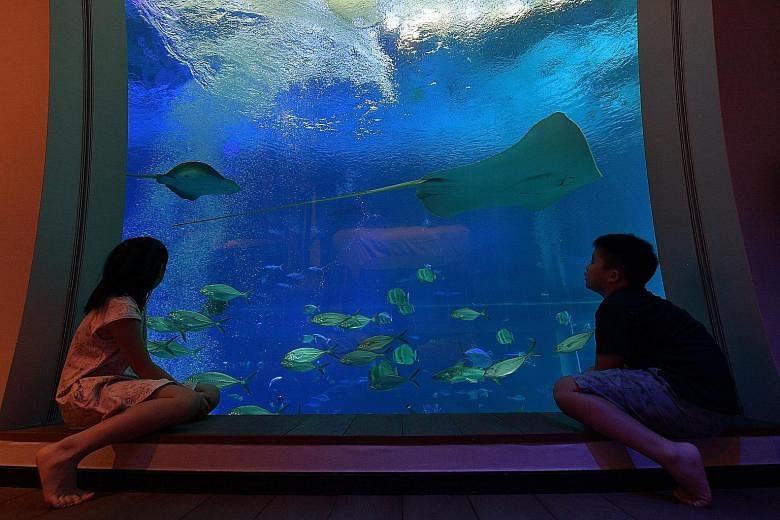 A bedroom at Resorts World Sentosa's Ocean Suites has a giant window looking out to the Open Ocean habitat of S.E.A. Aquarium. A survey has found that 63 per cent of 450 respondents said they would maintain or increase the frequency of staycations, w