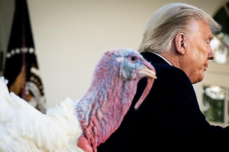 President Donald Trump during the annual presidential turkey pardoning ceremony in the Rose Garden of the White House on Nov 24. Throughout his four-year presidency, Mr Trump has repeatedly used his powers to pardon people for political reasons. The 