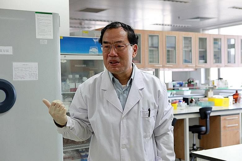 China's Professor Zhang Yongzhen broke ground when he published the first complete genome of Sars-CoV-2 in January, which allowed health authorities around the world to recognise the mysterious pathogen that would soon begin to cause mayhem beyond Ch