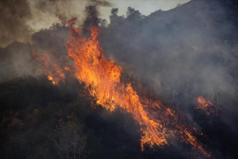 California's Miserable Year Ending In Drought, Fire And Lockdowns | The ...