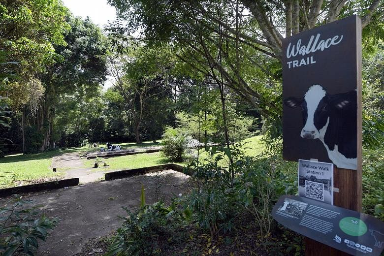 Above: A new exhibition on British naturalist Alfred Russel Wallace at the Wallace Education Centre, located in Dairy Farm Nature Park, was opened yesterday. Left: The Wallace Trail at the park has been extended from 1km to 2.2km. It now stretches to