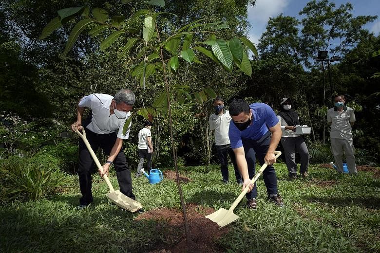 Minister for Foreign Affairs Vivian Balakrishnan (far left) and Minister for National Development Desmond Lee planting a tree during their visit to the Dairy Farm Nature Park and community nursery yesterday.