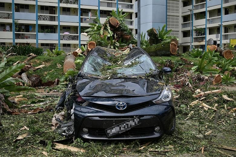 The Straits Times understands that nobody was hurt in the incident which took place around 7am yesterday. A large tree fell on top of firefighter Mohammad Norman Gatot Isman's motorbike, which was in the carpark next to Block 68 Lorong 5 Toa Payoh, y