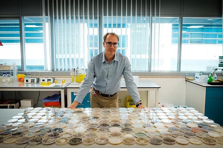 Professor Stephan Schuster says the virus crisis proves that scientists are able to move to new fields. PHOTO: NANYANG TECHNOLOGICAL UNIVERSITY