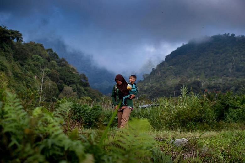 Indonesia's Female Forest Guardians Fight For The Environment | The ...