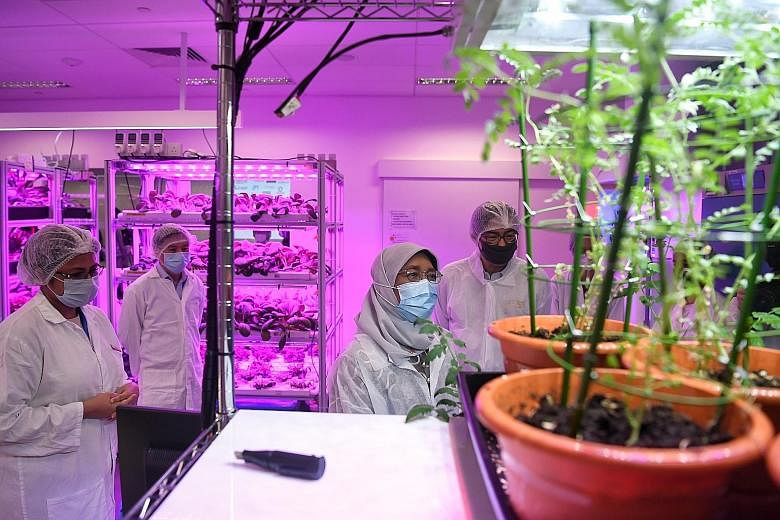 President Halimah Yacob touring Republic Polytechnic's agriculture technology laboratory during her visit yesterday. She also toured its Student Care Centre, which caters to students with mental health issues as well as special education and other ne