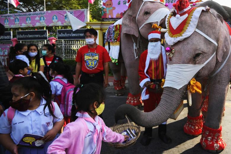 In Pictures: Elephants bring Christmas cheer to children in Thailand ...