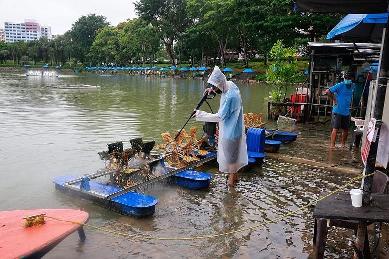 Staff cleaning and repairing a pump yesterday that was damaged after D'Best Fishing in Pasir Ris Town Park was flooded on Saturday. The fishing pond's managing director said the flood had damaged cables and diluted the water's salinity, and this coul