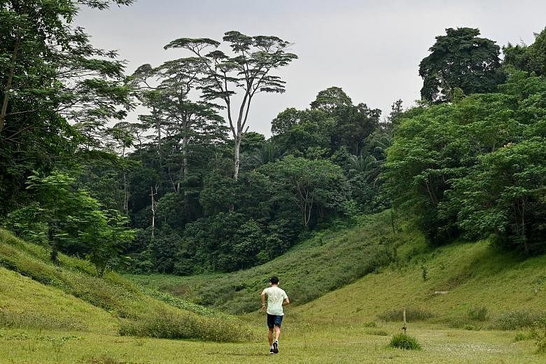 In response to questions about the status of Clementi Forest (left), National Development Minister Desmond Lee stressed that land-scarce, densely populated Singapore will have to balance the needs of development and conservation.