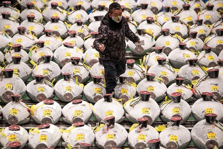 Above: Frozen tuna lined up ahead of the New Year auction at Toyosu fish market in Tokyo yesterday. Left: Mr Yukitaka Yamaguchi, president of wholesaler Yamayuki, which won the auction for a giant bluefin tuna at 20.8 million yen (S$267,000), cutting