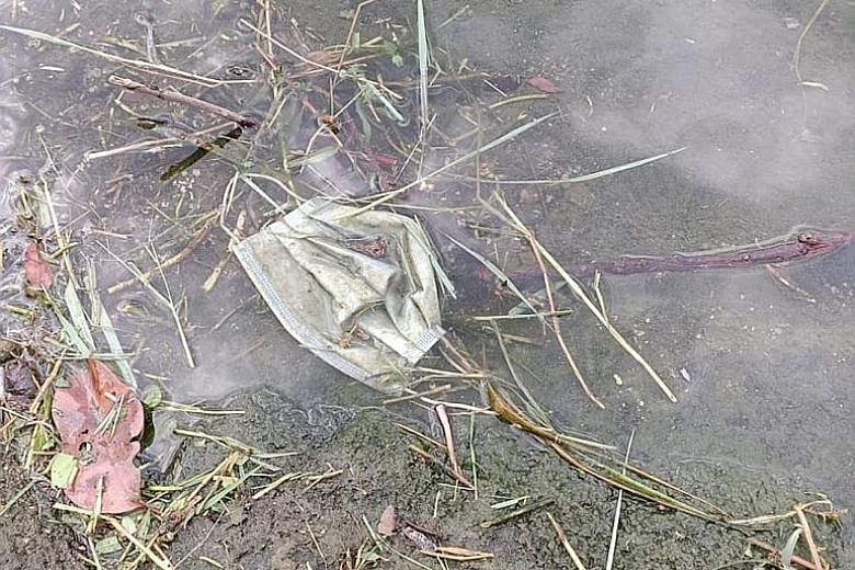 Mask litter found in November by Waterways Watch Society, which typically conducts clean-ups each week at Punggol Waterway Park, Jurong Lakeside Park and Kallang Riverside Park. PHOTO: WATERWAYS WATCH SOCIETY
