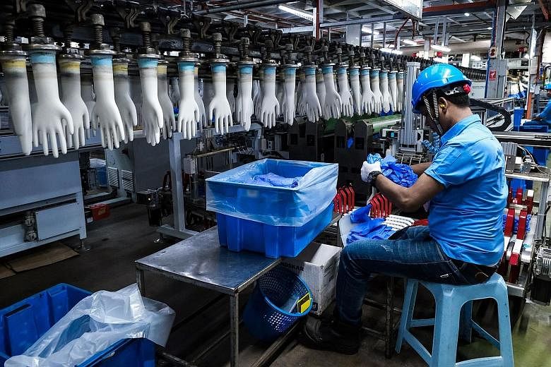 A worker handling latex gloves at an automated production line in a Top Glove factory in Malaysia. BlackRock, the world's biggest asset manager, cited workers' accounts of working and living conditions, the firing of a whistle-blower and the virus cl