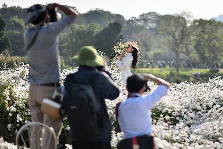 A woman posing for a photograph amid winter daisies at a botanical garden along the Red River in Hanoi, Vietnam. Flower gardens featuring the ox-eye daisy are popular among visitors - the blooms not only make Instagram-worthy backdrops, but also sign