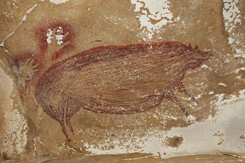 Left: The cave painting found on the Indonesian island of Sulawesi depicts a wild pig, and dates back at least 45,500 years, according to a study published in Science Advances. It measures 136cm by 54cm, and was painted using dark red ochre pigment. 