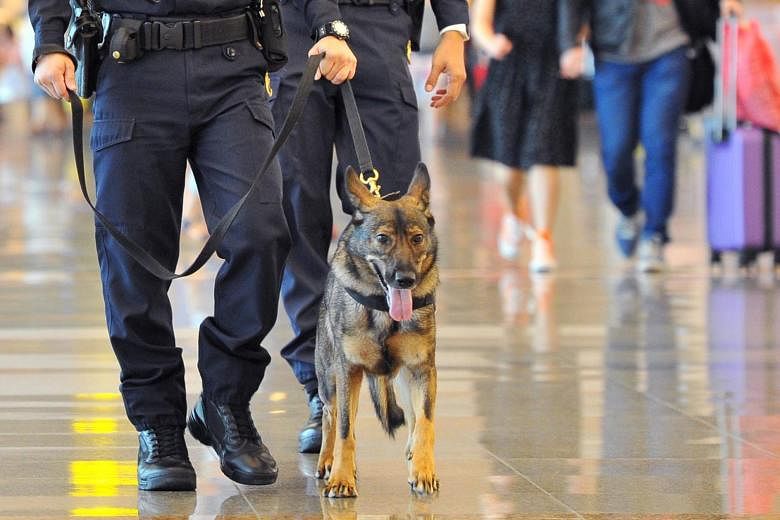 can police dogs smell alcohol