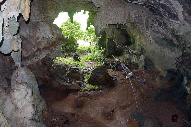 The mouth of Leang Tedongnge cave in a remote valley in the Maros-Pangkep karst region, famed for its ubiquity of cave art and archaeological findings. Some 84 pieces of prehistoric art - mostly hand outlines and sketches of Sulawesi wild pigs - were