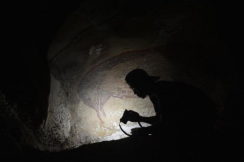 Indonesian archaeologist Basran Burhan beside a painting of a warty pig - the oldest known cave artwork, dating to at least 45,500 years ago - in the Leang Tedongnge limestone cave in South Sulawesi. The Griffith University PhD candidate was the firs