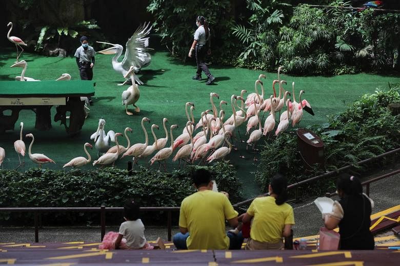 Visitors at Jurong Bird Park on Sept 16, 2020.