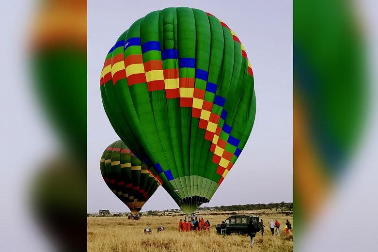 A hot-air balloon ride in 2018 at Serengeti National Park, Tanzania, at dawn to see the wildlife. After a hiatus in tourism during the pandemic, the animals could possibly have become more curious. 
