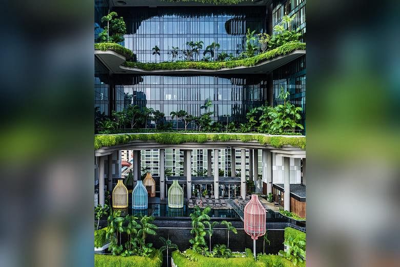 The Wellness Floor on the fifth level of Parkroyal Collection Pickering, Singapore features an infinity pool and cabanas built to resemble bird cages.