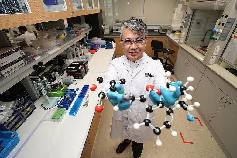 Professor Eric Chan, a pharmaceutical scientist at the National University of Singapore, and his collaborators from the Health Sciences Authority have been able to identify two trending synthetic cannabinoids by using their metabolites as biomarkers 