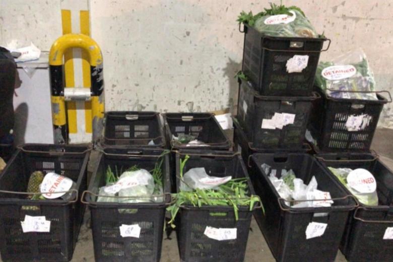 Company fined $6,000 for illegally importing fruits, vegetables and