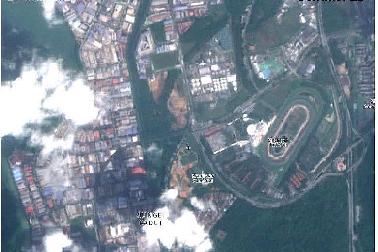 Screenshots of satellite images showing the Kranji woodland area in March last year and last month. Green patches totalling at least 8ha - or 11 football fields - were cleared by Jan 25 this year, according to satellite Sentinel-2B.