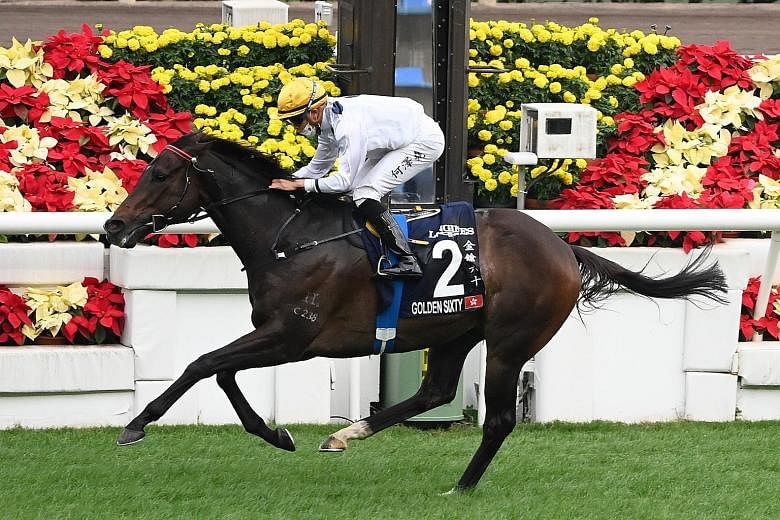 Hong Kong's outstanding horse Golden Sixty is looking to capture his third Group 1 and 13th consecutive success in tomorrow's Hong Kong Gold Cup in Race 7 at Sha Tin.