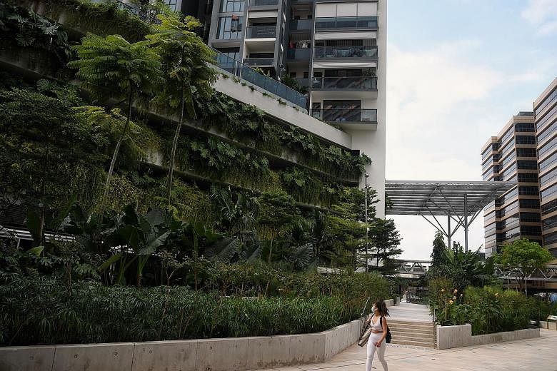 The Singapore 2030 Green Plan is a smart and bold one, and if managed correctly and pursued well, will go a long way in shoring up Singapore's reputation as a city in a garden-a city that is environmentally sustainable and yet that has an economy tha