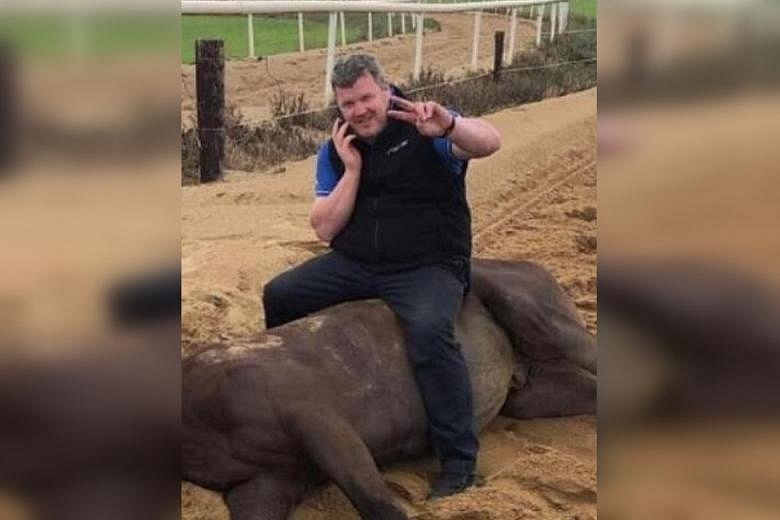 Horse Racing: Irish Trainer Gordon Elliot Banned Over Dead Horse Photo ...