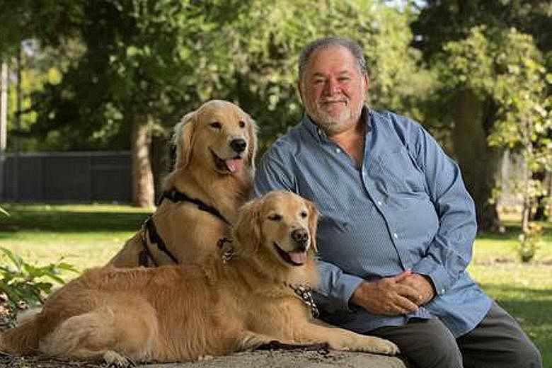 Clinical psychologist Aubrey Fine (above) and Dr Nancy Gee (below), a professor of psychiatry, will talk about animal-assisted therapy and how pets can benefit people's well-being in a webinar tomorrow.