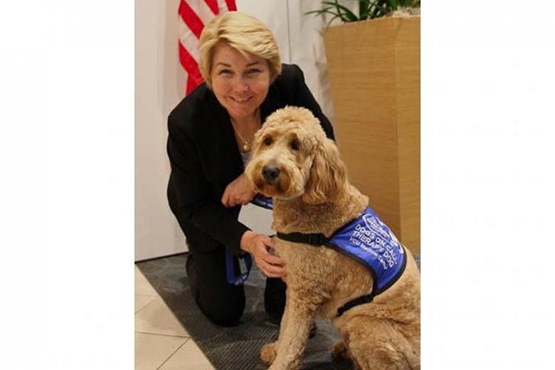 Clinical psychologist Aubrey Fine (above) and Dr Nancy Gee (below), a professor of psychiatry, will talk about animal-assisted therapy and how pets can benefit people's well-being in a webinar tomorrow.