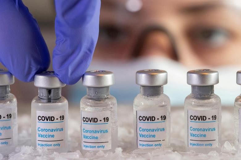 Russia registers world's first Covid-19 vaccine for animals | The Straits  Times
