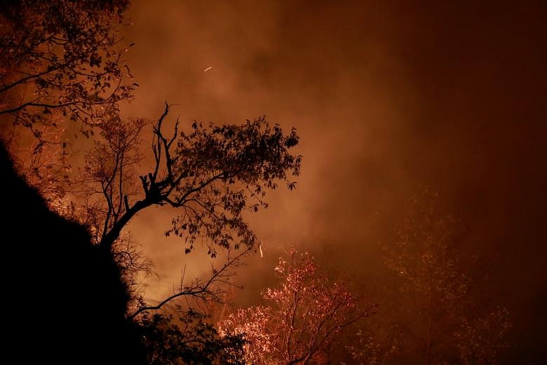 Nepal Battles Worst Forest Fires In Years As Air Quality Drops | The ...